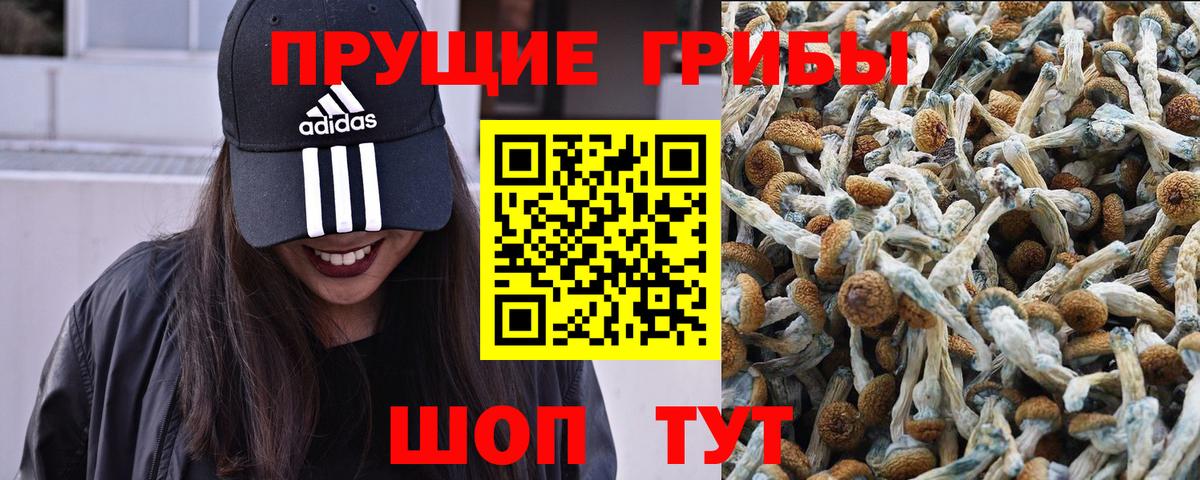 наркота  Псилоцибиновые грибы GOLDEN TEACHER  Вход с VPN  Галлюциногенные грибы мухоморы  Славянск-на-Кубани 